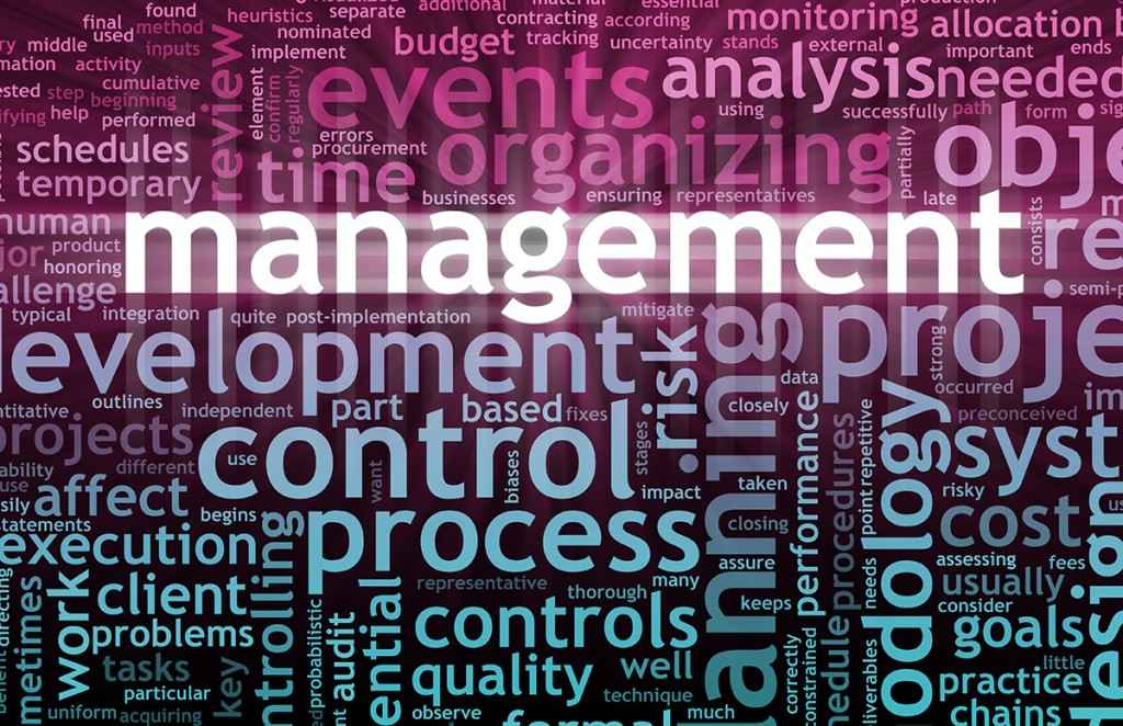 management-in-word-cloud